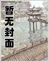 漂泊者的后宫构建